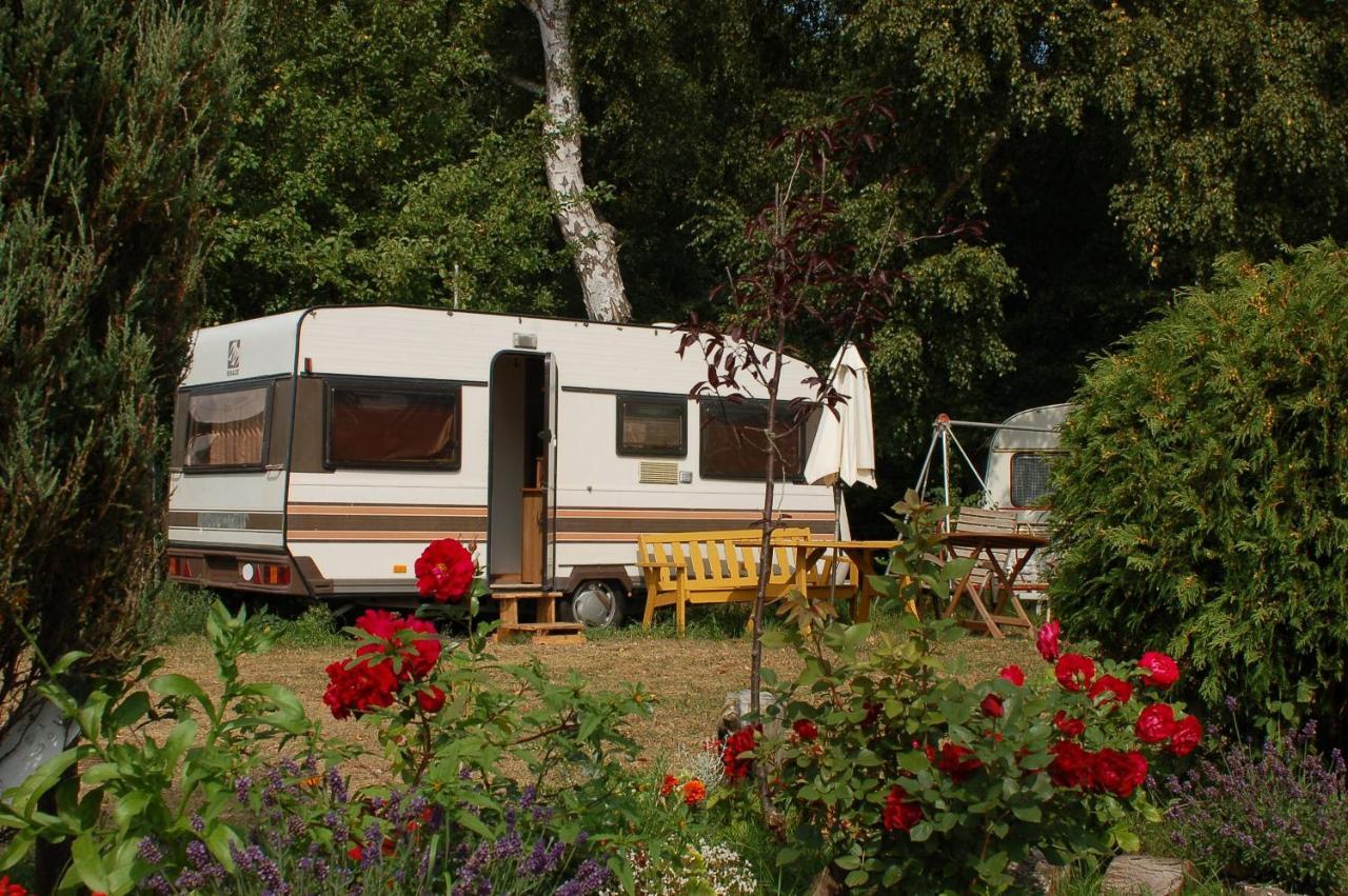 Camping Rogowo Mrzeżyno Eksteriør billede