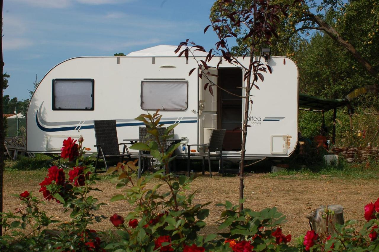 Camping Rogowo Mrzeżyno Eksteriør billede