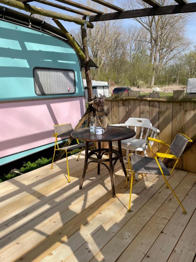 Camping Rogowo Mrzeżyno Eksteriør billede