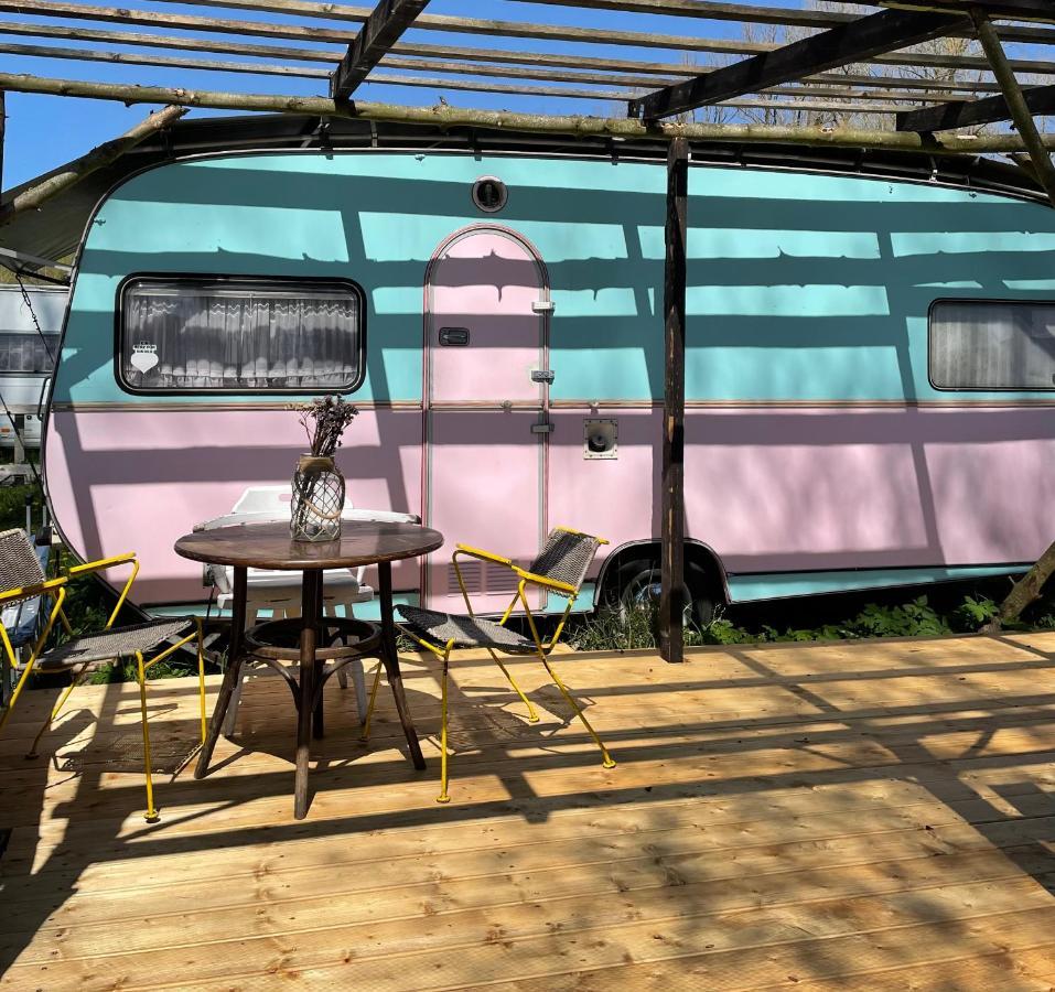 Camping Rogowo Mrzeżyno Eksteriør billede
