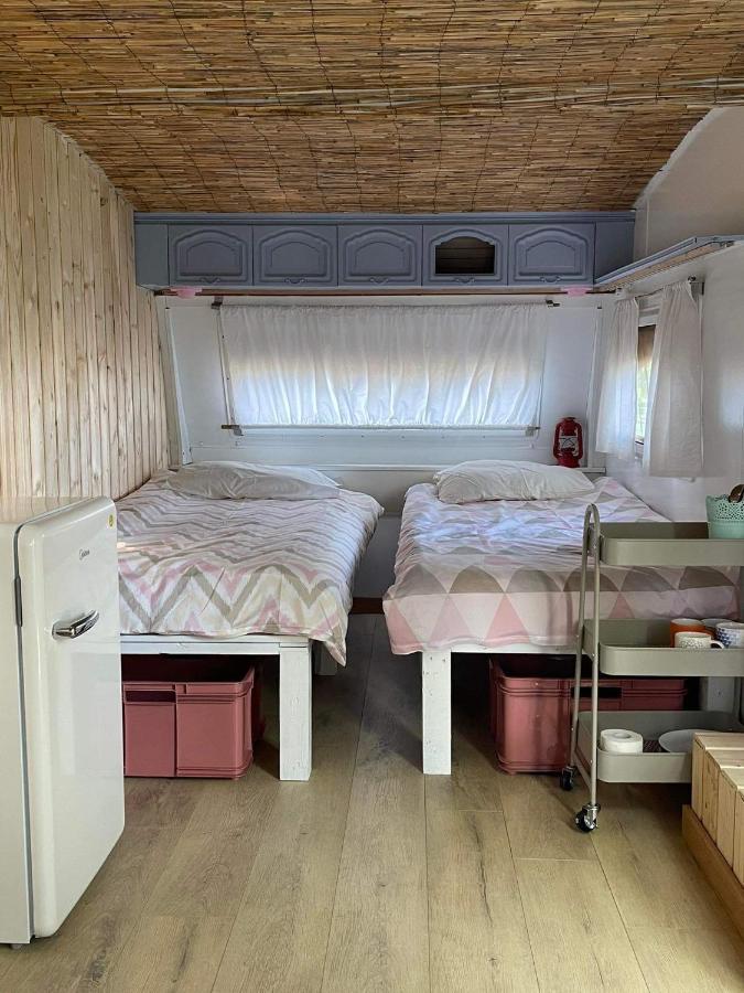 Camping Rogowo Mrzeżyno Eksteriør billede