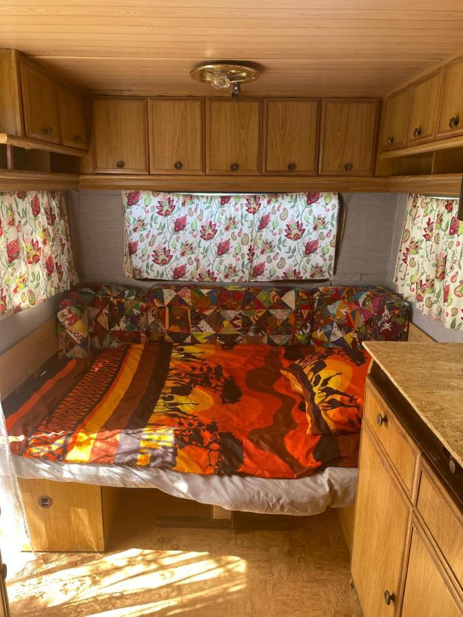Camping Rogowo Mrzeżyno Eksteriør billede