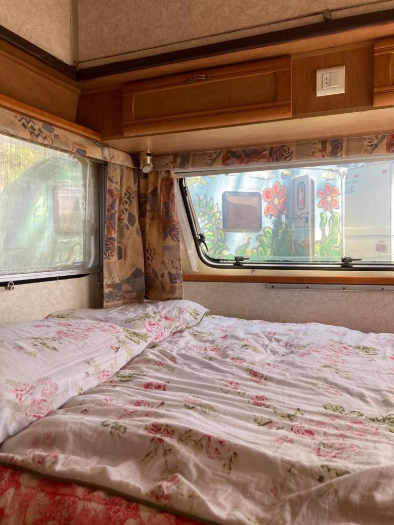 Camping Rogowo Mrzeżyno Værelse billede